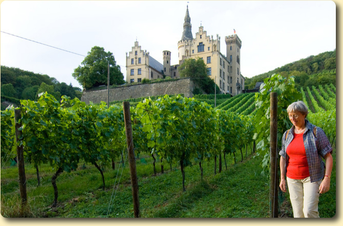 Bad Hönningen Arenfels Castle